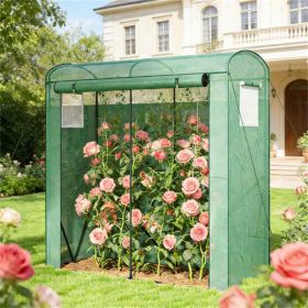 Mini greenhouse, portable greenhouse, planting rack, plant rack, green