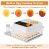 36 Egg Incubator with Automatic Egg Turning and Temperature Control, for Hatching Chicken,Quail,Duck Eggs,with Egg Candler