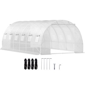 20 x 10 x 7 ft Walk-in Tunnel Greenhouse, Portable Plant Hot House with Galvanized Steel Hoops, 3 Top Beams, Diagonal Poles
