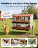 Chicken Nesting Boxes, 8 Compartments, with Support Legs, Easy Egg Collection, Galvanized Steel and High-Strength Plastic