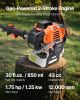 Gas Pole Saw, 43CC 2 Stroke Gas Powered Pole Saws with 10 in Cutting Bar, Cordless Tree Trimmer with 30 fl.oz Fuel Tank, 6.8 to 11.7 ft Extendable
