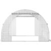 20 x 10 x 7 ft Walk-in Tunnel Greenhouse, Portable Plant Hot House with Galvanized Steel Hoops, 3 Top Beams, Diagonal Poles