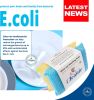 Mr Cleanie Silver Ion Washing Up Non-Scratch Scourer Pads Antibacterial Cleaning Kitchen Bathroom 2-Pack